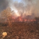 farm on fire