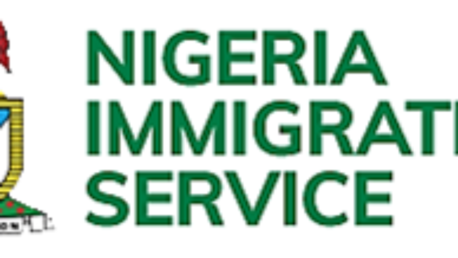 nis logo