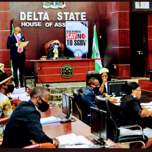 Delta State youth assembly