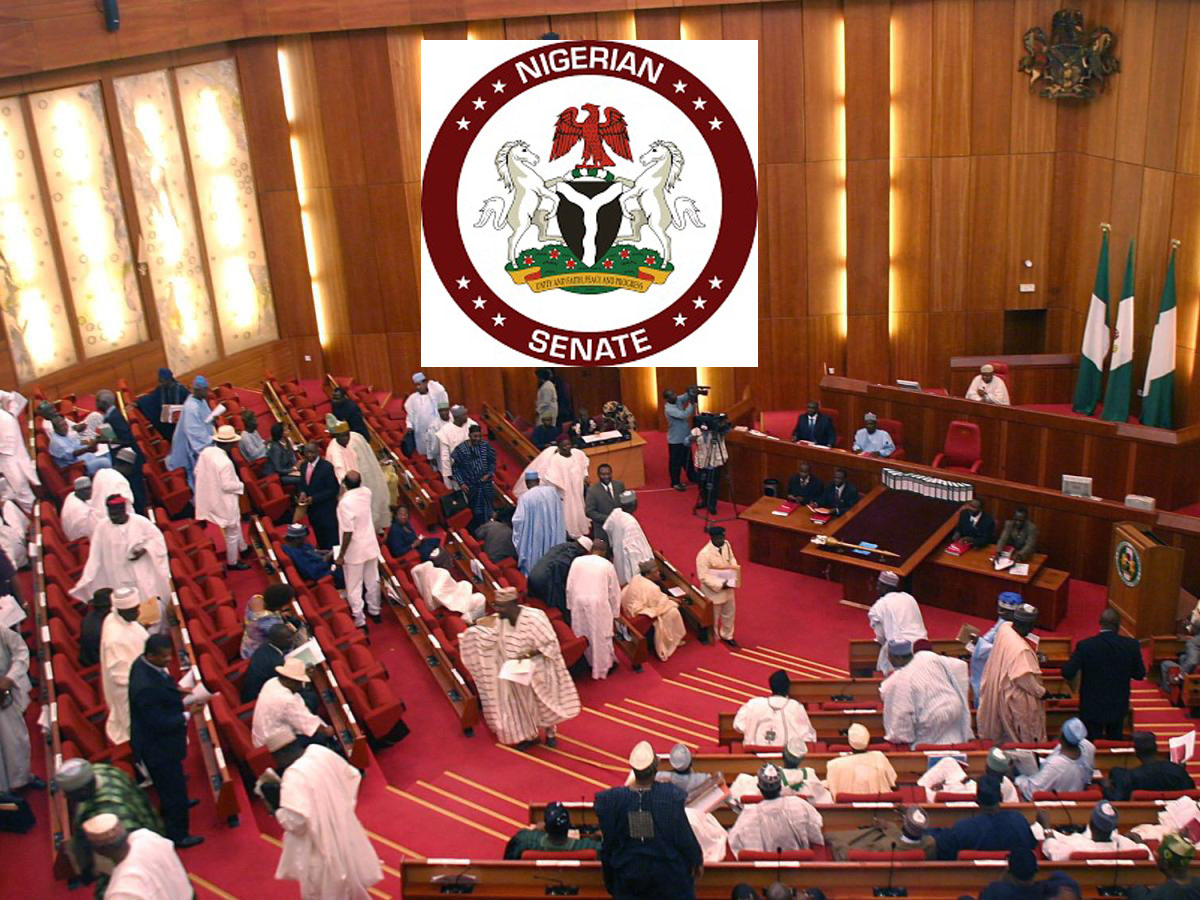 Declare state of Emergency-Senate yarn Buhari 