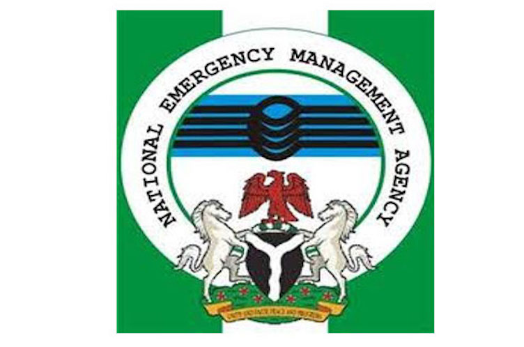 Delta State: NEMA don dey share relief items for flood victims