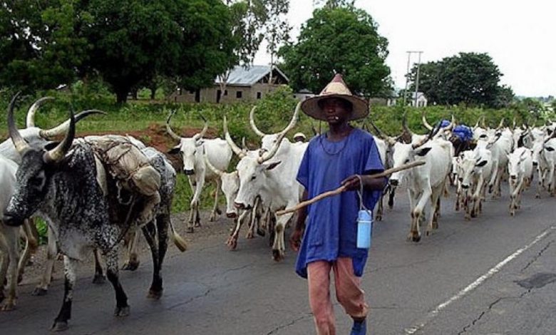 Bayelsa give MACBAN two weeks quit notice