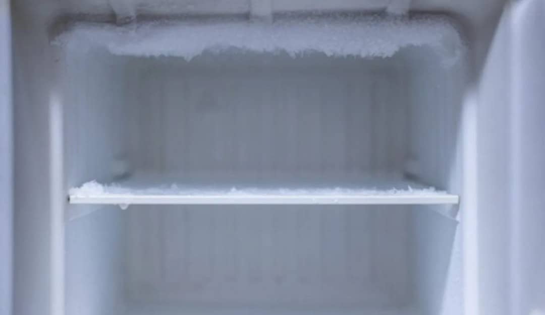 Workers See Woman Bodi Inside Restaurant Freezer