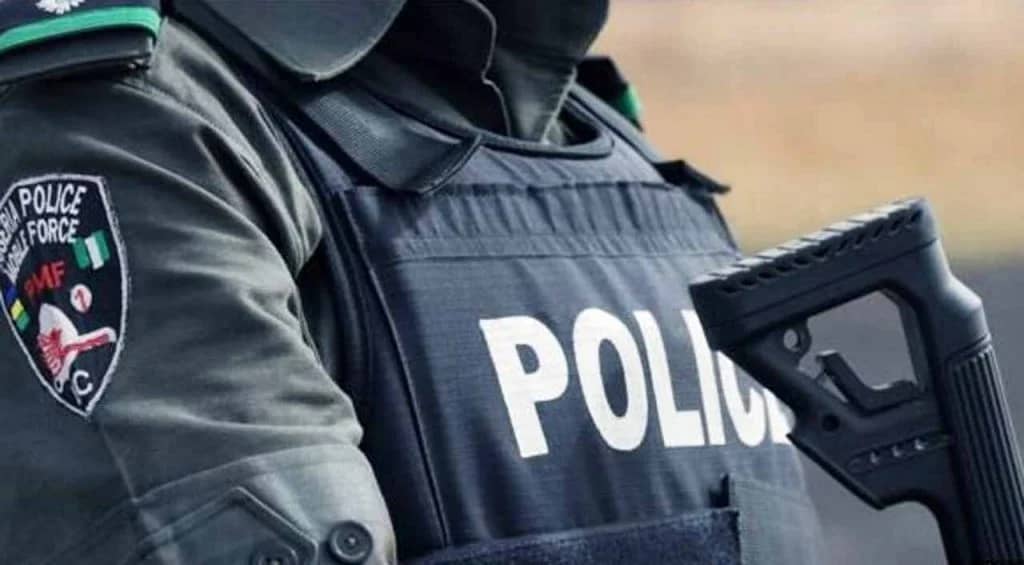 Police Inspector For Adamawa Delete Hinsef Cus Of Hardship