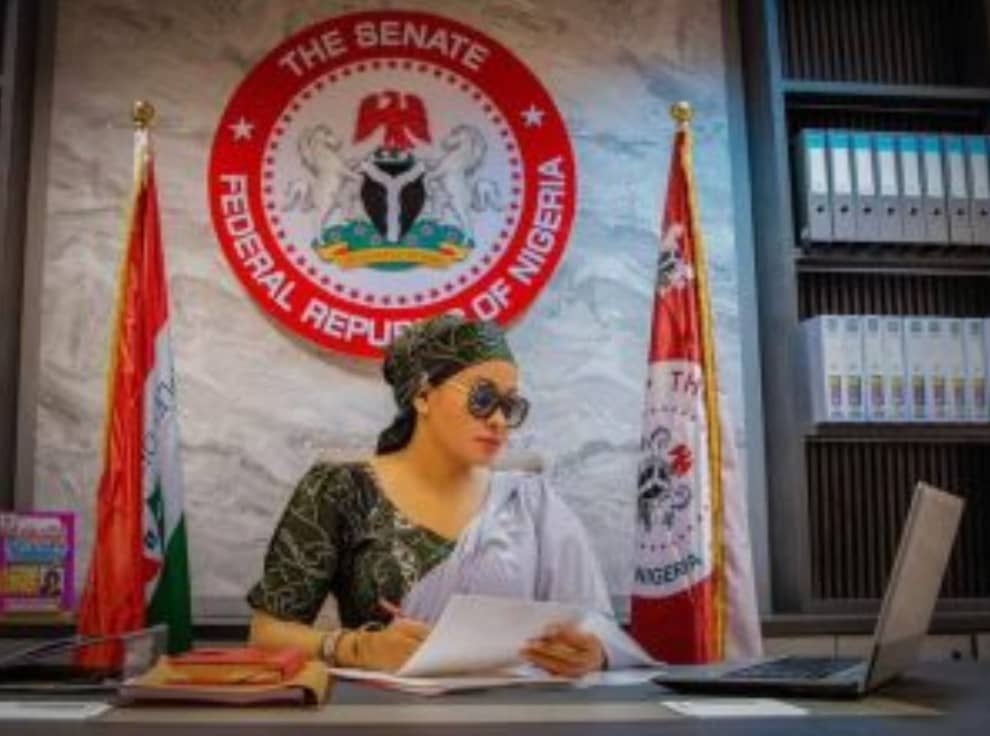 Your case na “dead on arrival”,senate committee tell Natasha