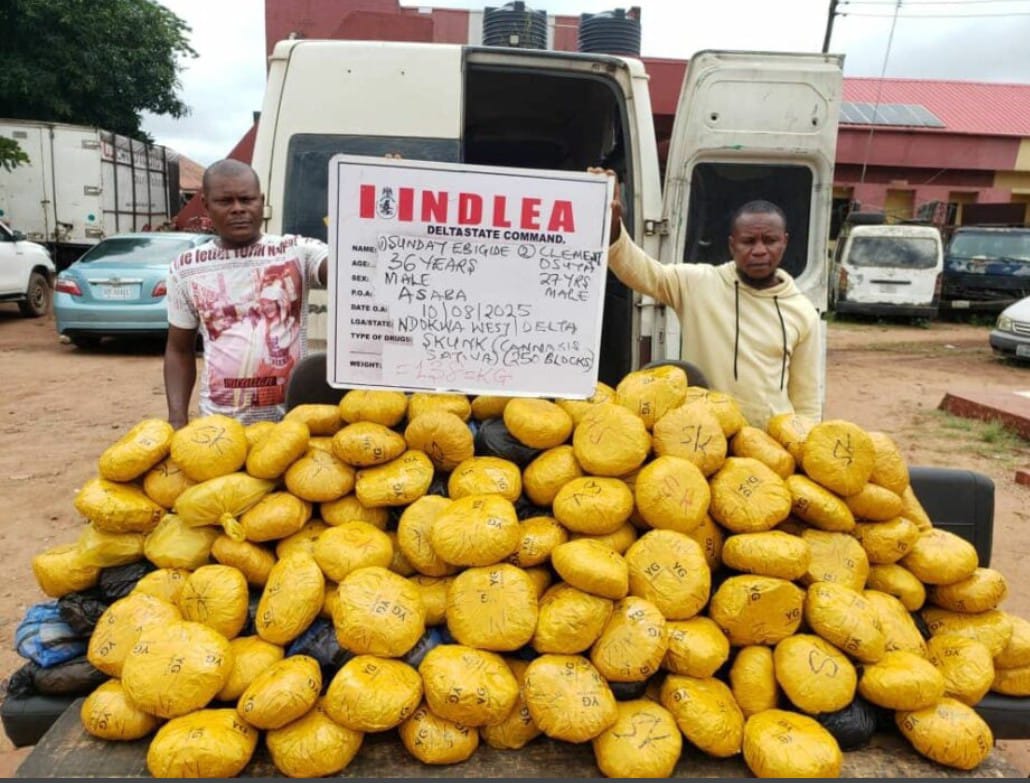 NDLEA Arrest Drug Lord For Delta State