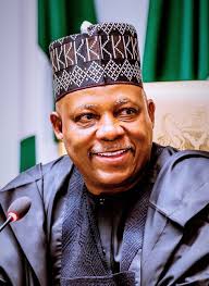 Shettima don tell statesto fix their power problems