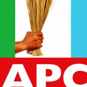 Delta APC: North and central don reject paulinus as chairmo