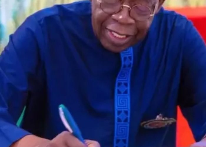 Tinubu don form National Credit Guarantee Company