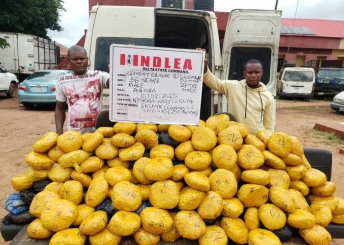 NDLEA Arrest Drug Lord For Delta State