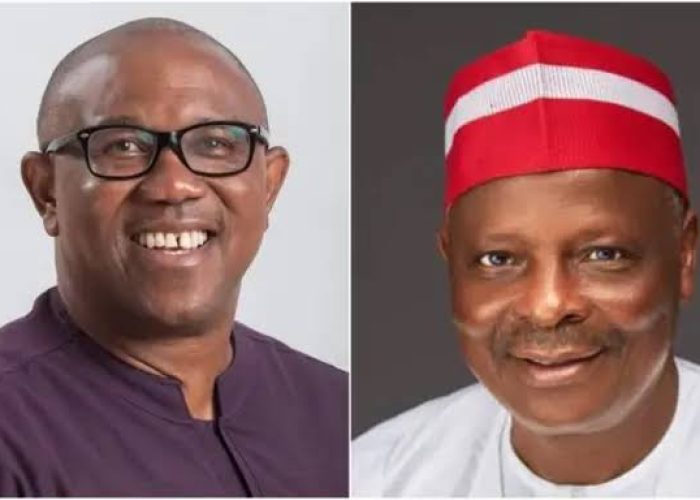 Obi-Kwankwaso Movement don unveil campaign council, plus 36 state coordinators wen dem appoint